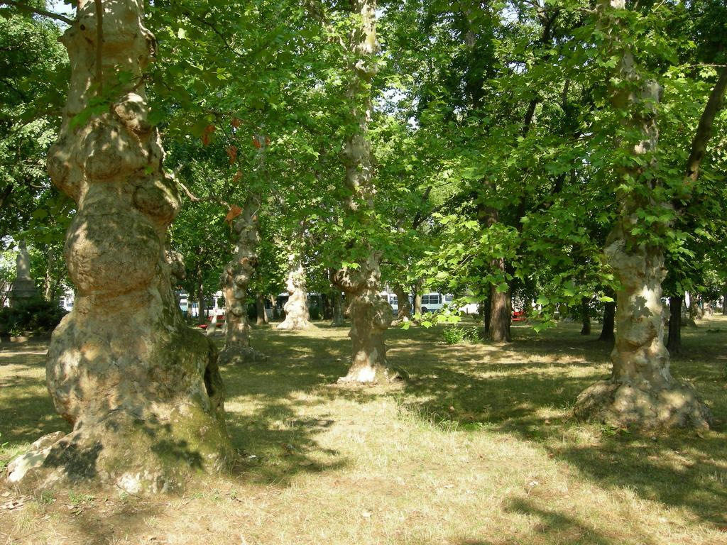 Hary Hotel Κεσκεμέτ Εξωτερικό φωτογραφία